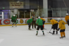 cropped-Green_Yellow-1