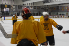 cropped-referee_handshake