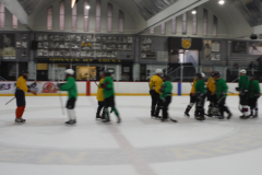 cropped-shaking_hands-1